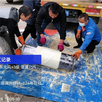 樹脂固化修復(fù)